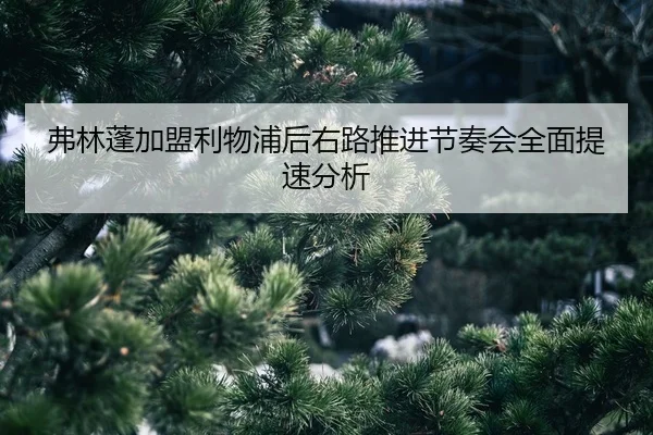 fu-lin-peng-jia-meng-li-wu-pu-hou-you-lu-tui-jin-jie-zou-hui-quan-mian-ti-su-fen-xi-2-121.jpg