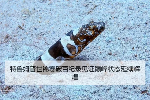 te-lu-mu-pu-shi-jin-sai-po-bai-ji-lu-jian-zheng-dian-feng-zhuang-tai-yan-xu-hui-huang-3-102.jpg